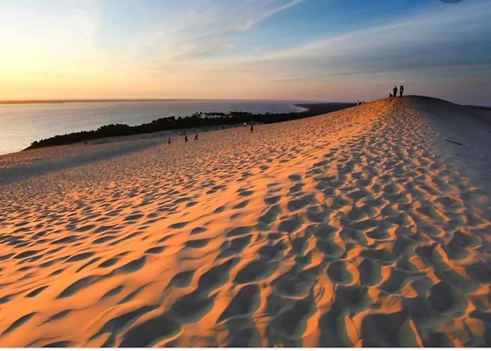 Maison Cote 펜션 파렝티스 앙 보른